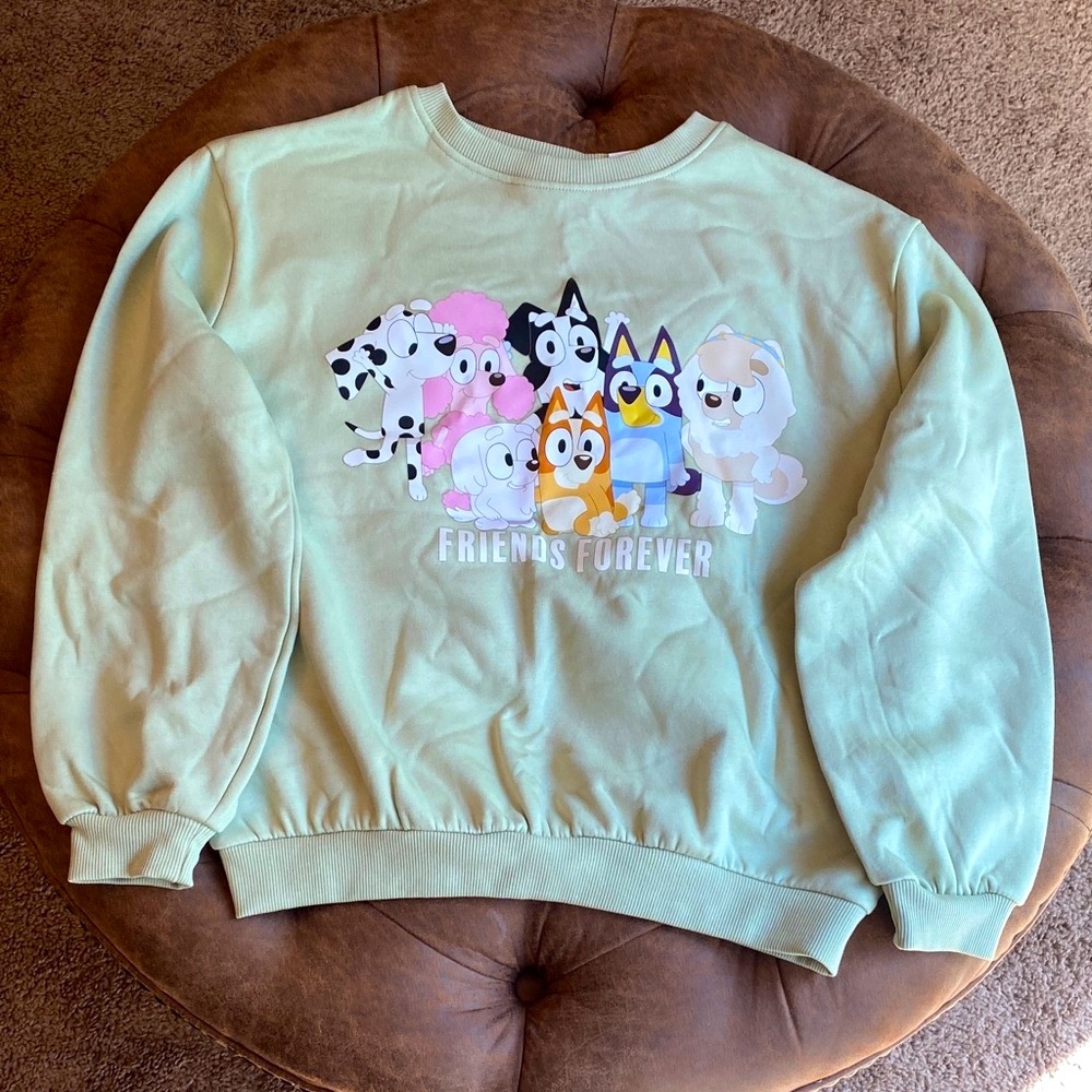 Bluey Friends Forever Sage Green Graphic Crew Neck Sweatshirt